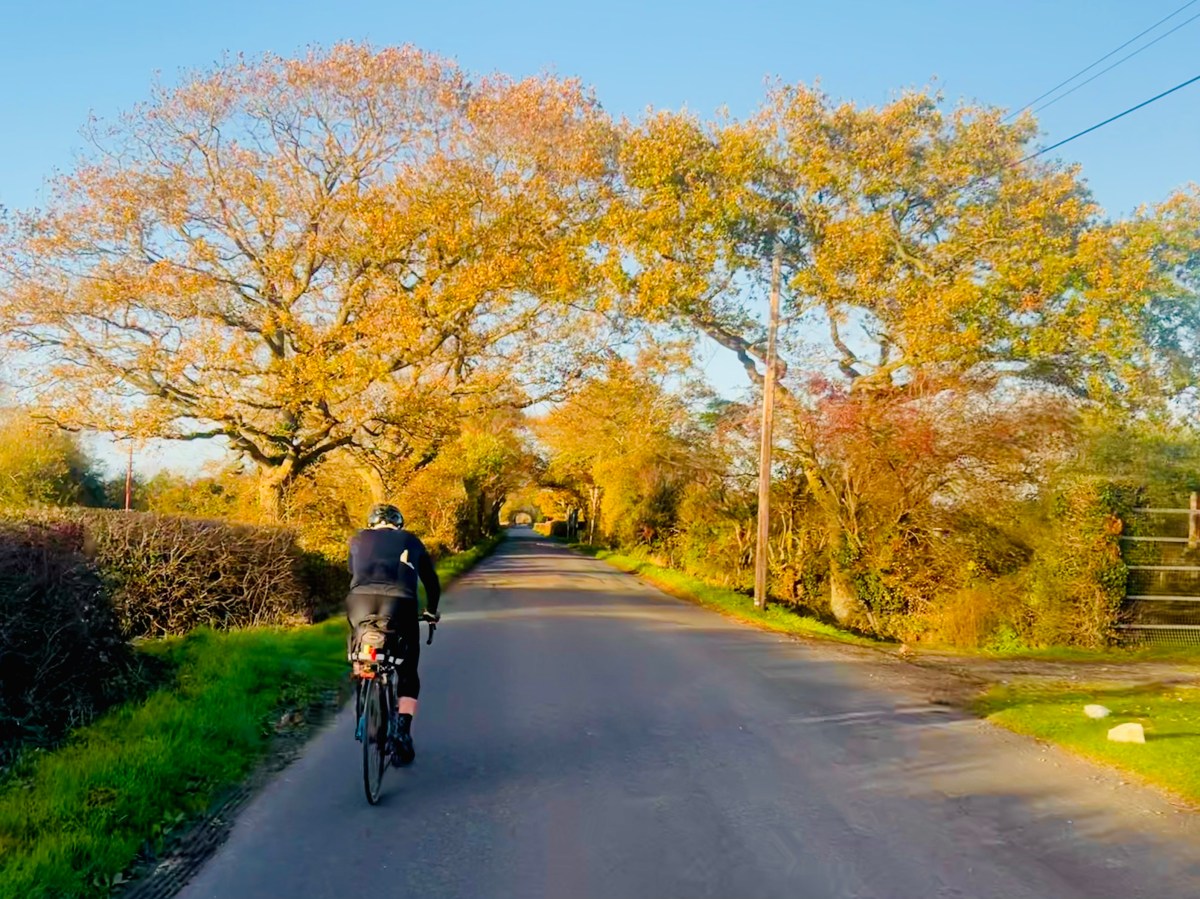 Moonrakers and Sunseekers&nbsp;2025