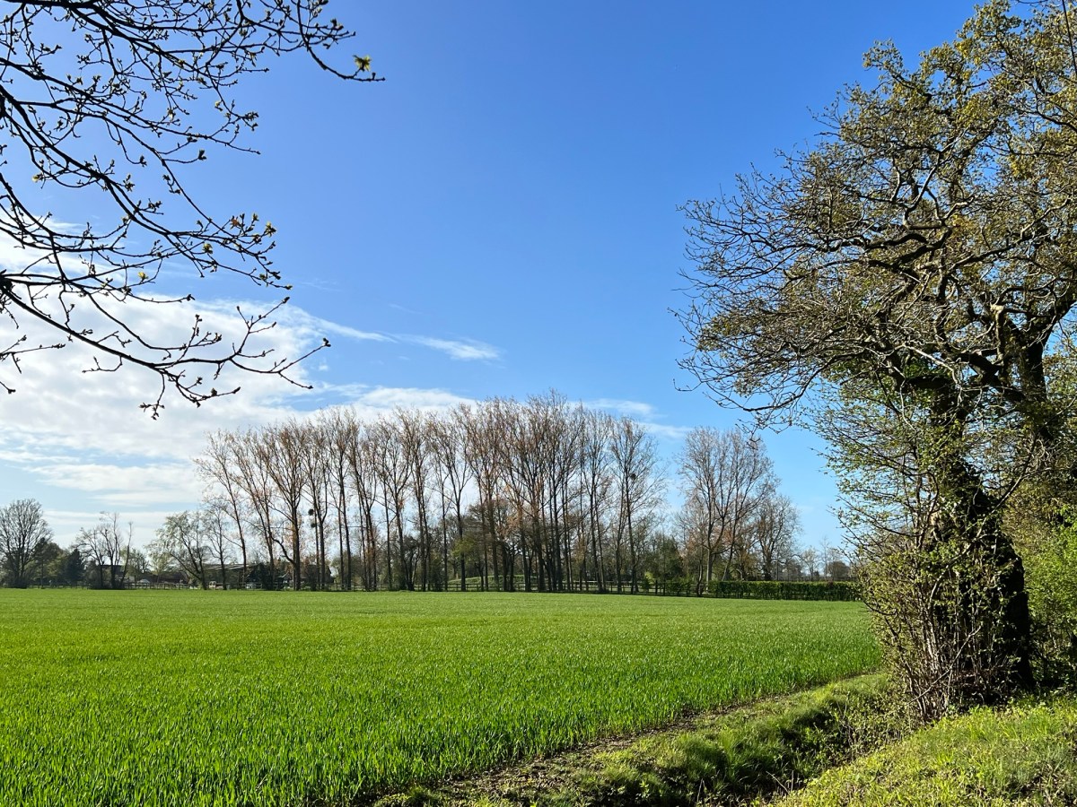 Morning out in South&nbsp;Norfolk