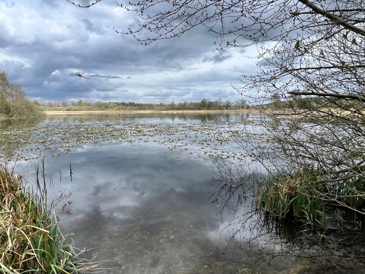 The Great Eastern Pingo&nbsp;Trail